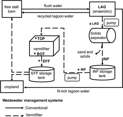 Profiling of the Microbiome Associated With Nitrogen Removal During Vermifiltration of Wastewater From a Commercial Dairy